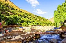 Marrakech : shared trip to ourika valley with guide & lunch