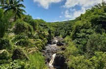 Maui Exclusive - Road to Hana Adventure - Just for Your Group
