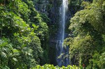 Maui Exclusive - Road to Hana Adventure - Just for Your Group