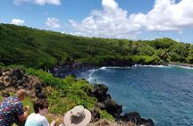 Maui Exclusive - Road to Hana Adventure - Just for Your Group