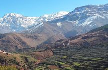 Ourika Waterfalls 1 Day Private Trip through the Atlas Mountains from Marrakech