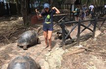 Prison Island and Stone Town Private Tour