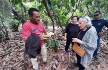 Half-day Chocolate Workshop - Cacao Farm