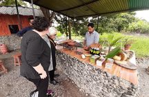 Half-day Chocolate Workshop - Cacao Farm