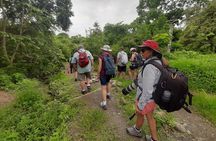 Full day to Ecological Reserve Churute Mangrove and Cocoa Farm Visit