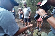 Full day to Ecological Reserve Churute Mangrove and Cocoa Farm Visit