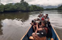 Full day to Ecological Reserve Churute Mangrove and Cacao Farm Visit