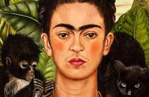 Frida Kahlo Museum, Diego Rivera Studio & Anahuacalli Museum Private Tour 