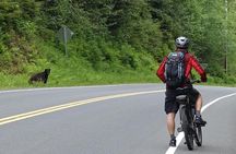 Ketchikan Electric Bike and Rain Forest Hike Ecotour