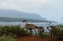 Private Kauai North Shore Tour