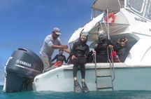 Full Day Pinzon Island, Finishing in la Fe with Snorkeling and Lunch included