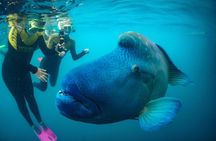 Airlie Beach- Private half day catered & crewed yacht charter