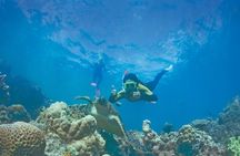 Airlie Beach- Private half day catered & crewed yacht charter