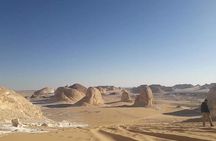 White Desert and Bahariya Oasis Tour From Cairo