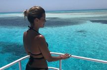 Snorkeling at White Island & Ras Mohammed - Sharm El-Sheikh