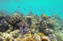 Lizard Island Day Tour by Air from Cairns