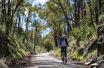 Self-Guided Gourmet Culinary Cycling Day Tour From Beechworth