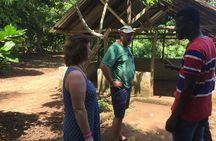 Spice Farm and Jozani Forest Private Tour