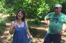 Spice Farm and Jozani Forest Private Tour