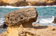 Half Day Private Tour to Yangmingshan National Park and Yehliu Geopark
