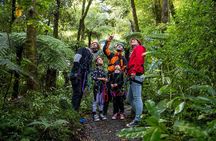 The Original Canopy Zipline Experience Private Tour From Auckland