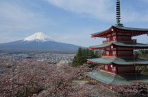 Barrier-Free Private Mt. Fuji Tour for Wheelchair Users