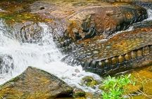 Full-Day Kulen Waterfall & 1000 Lingas Join-in Tour