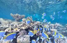 Introductory Dive in Eilat