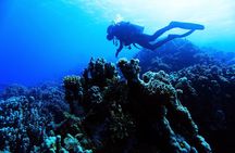 Introductory Dive in Eilat