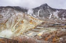 Private Tour - Hakone Day Trip! A Tour to Explore All Must-Sees!