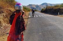 Udaipur Bicycle Tour