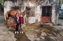 Udaipur Bicycle Tour