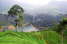 Sri Lanka Tour Packages with English Speaking Driver Guide and Car