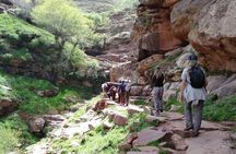 Ourika tizi n'oucheg