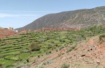 Ourika tizi n'oucheg