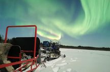 Northern Lights Sledge Ride