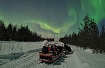 Northern Lights Sledge Ride