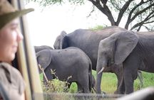 4-Day Materuni Kilimanjaro Hike, Serengeti & Ngorongoro Crater