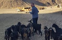 Super Safari ATV Quad Full-Day Tour & Sunset in Marsa Alam