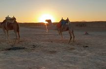 Super Safari ATV Quad Full-Day Tour & Sunset in Marsa Alam