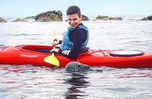 Dublin Bay Seal Kayaking Safari at Dalkey