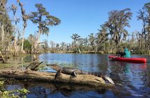 Whitney Plantation and Manchac Swamp Kayak Tour Combo