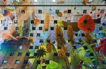 Rotterdam is city of future