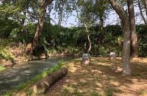 Nemea Private Wine Tour For Two Dedicated Wine Lovers (From Athens) 