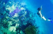 Snorkel boat tour in search of turtles