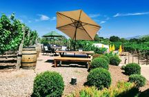 Santa Barbara Wine Tasting Day Tour from Los Angeles