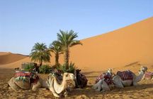 8 Days Tour Nomad Adventure Desert Camel Trekking From Marrakech Merzouga