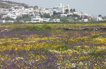 Tinos Island Tour from Mykonos