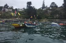 Penguins Watching Navigation Cachagua Island&Lunch From VALPARAIS