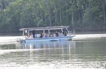 Luxury Daintree - Cape Tribulation Tour from Port Douglas